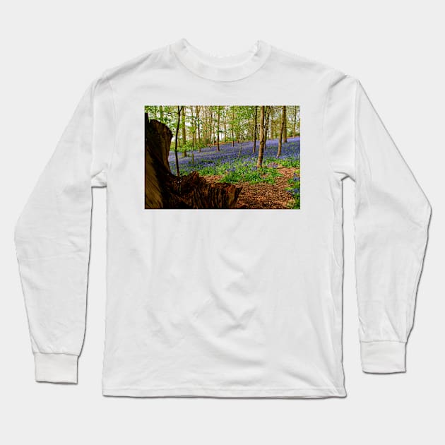 Bluebell Woods Greys Court Oxfordshire UK Long Sleeve T-Shirt by AndyEvansPhotos